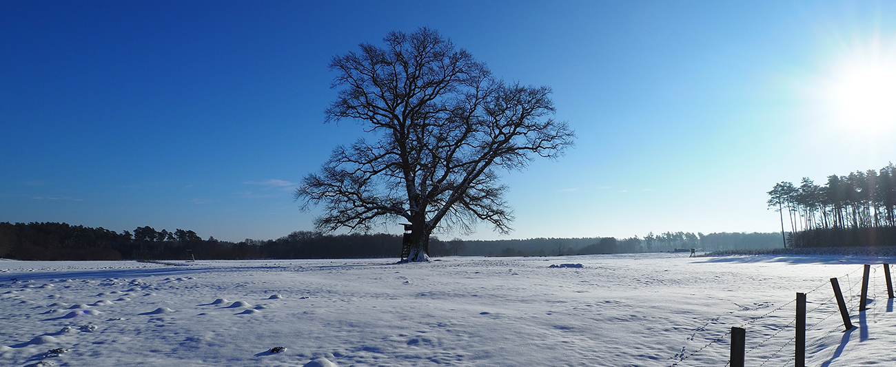 Winterlandschaft in MV © LGMV Winterlandschaft in MV © LGMV