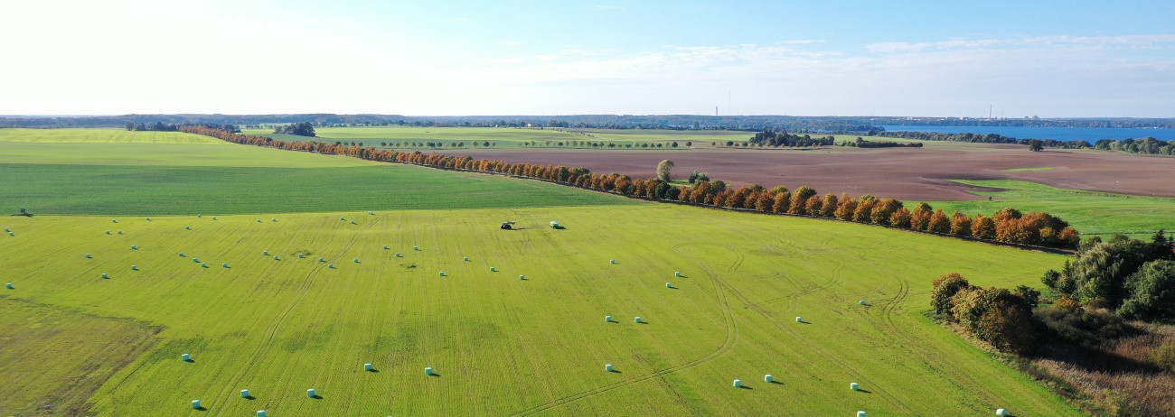 Auswahl Website_DJI_0735 Auswahl Website_DJI_0735
