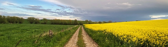 Landwirtschaftliche Flächen in M-V